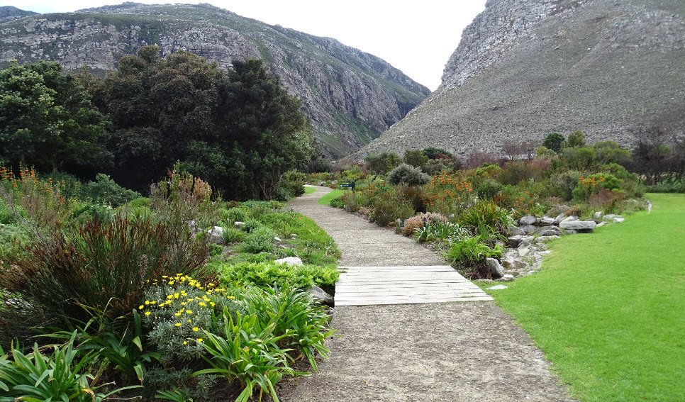 Harold Porter National Botanical Gardens, Betty's Bay, South Africa, South Africa